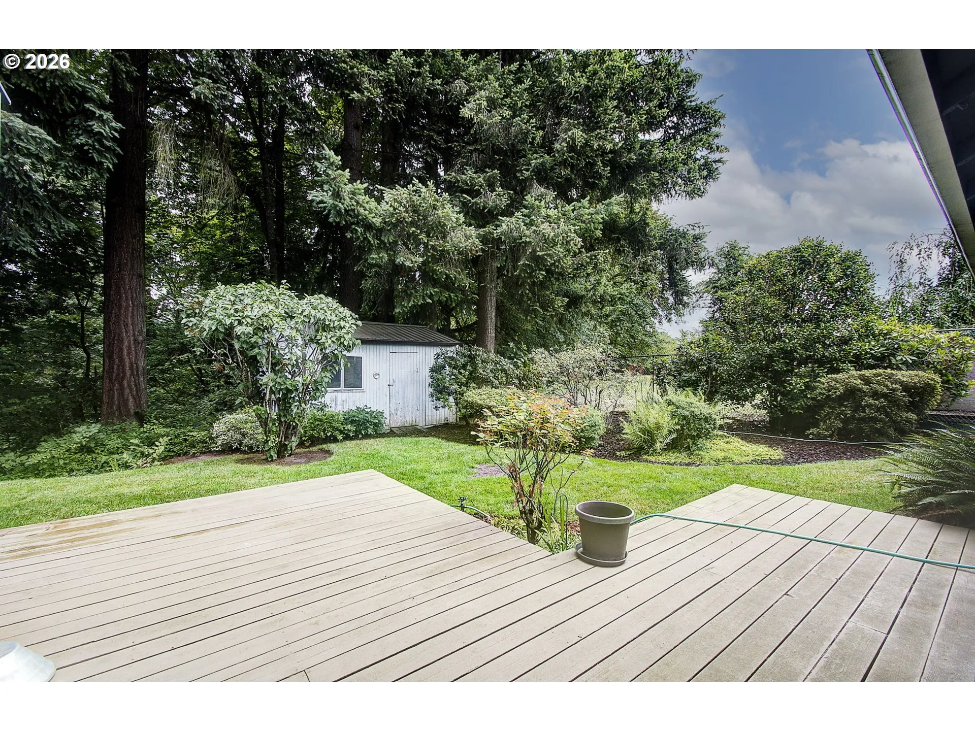 Backyard