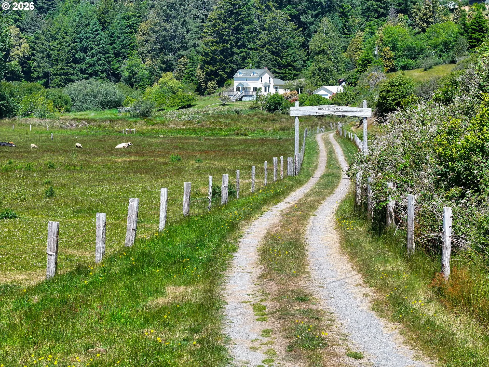 Driveway