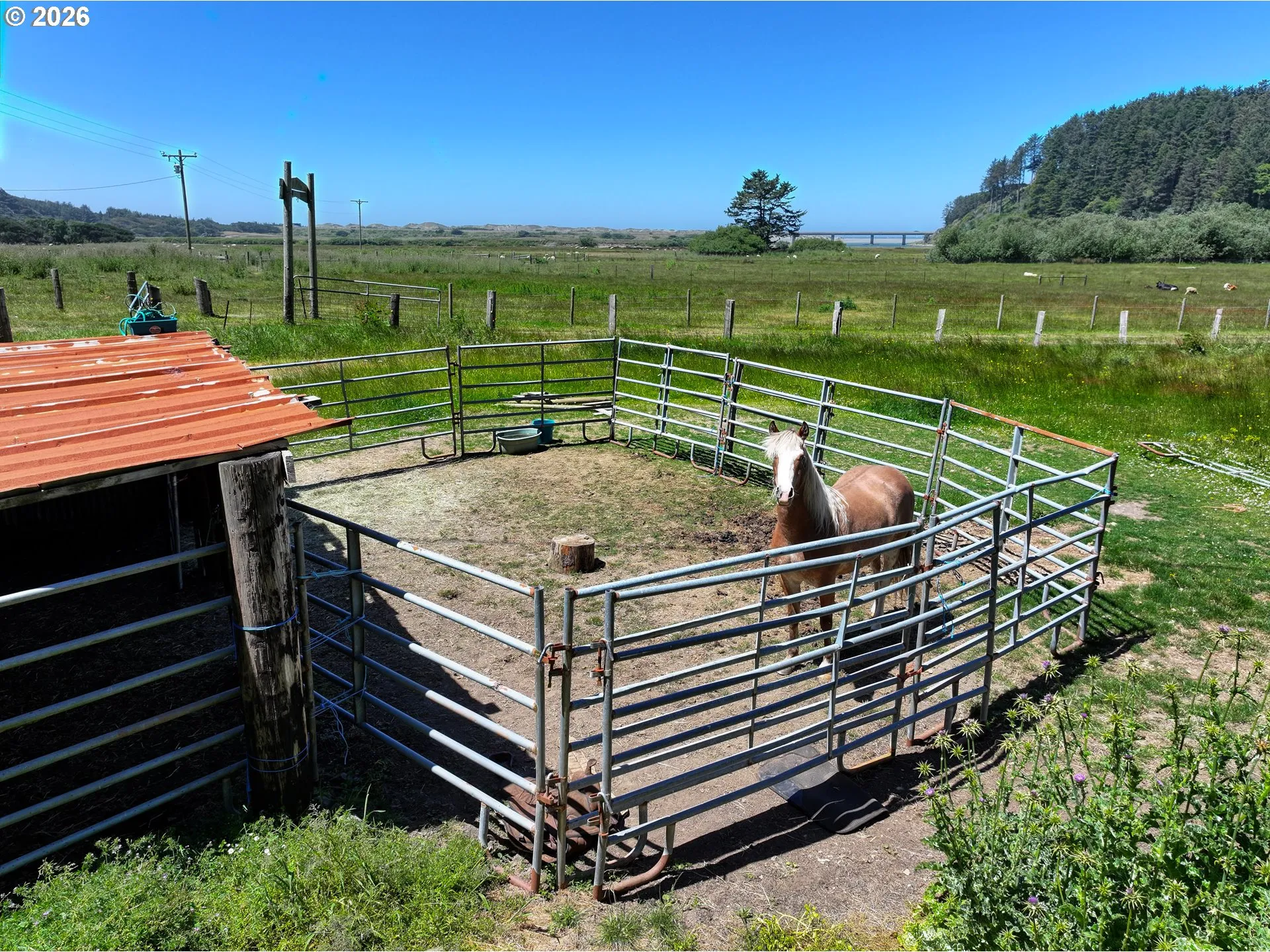 Corral