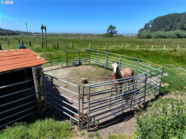 Corral