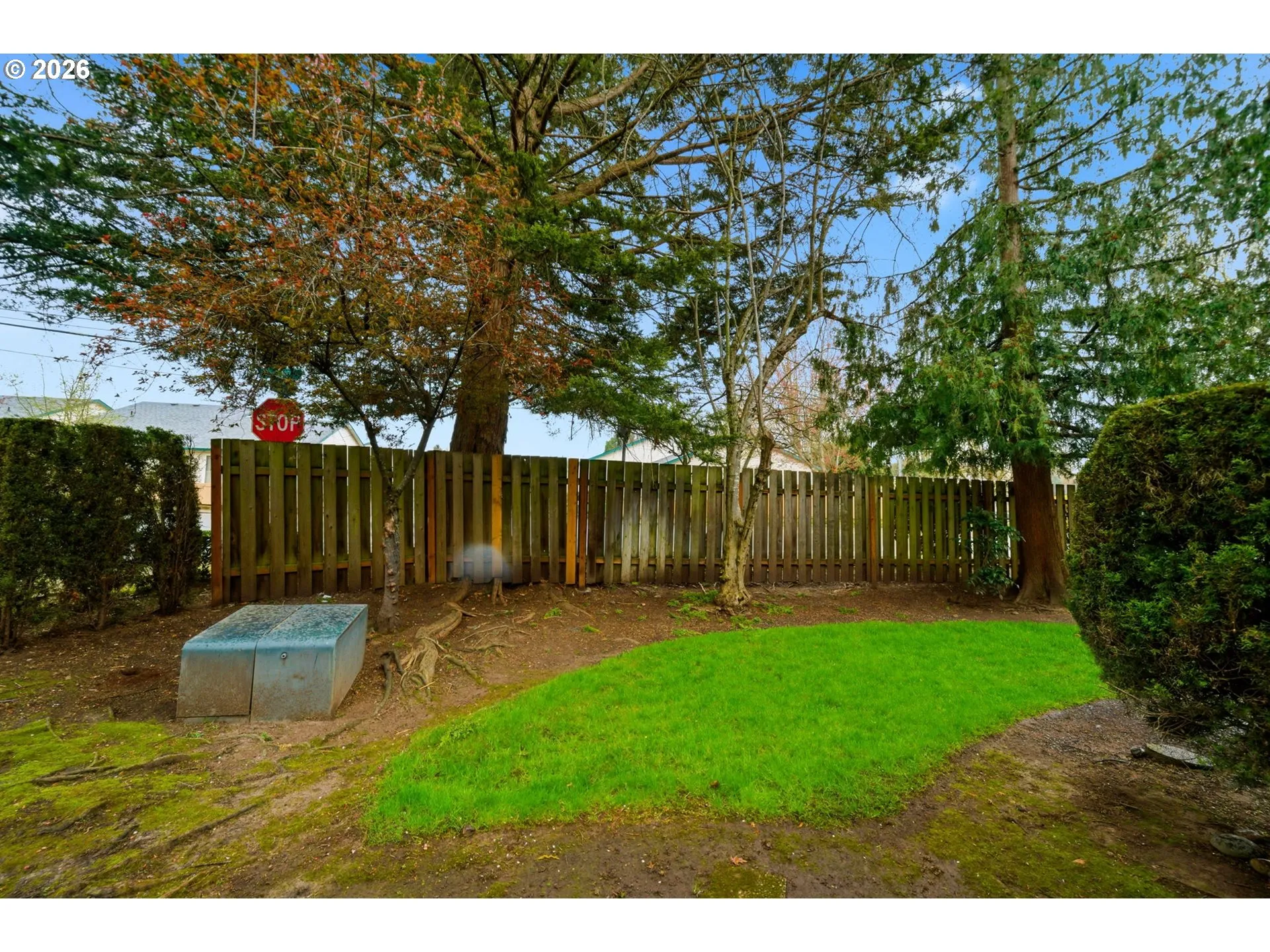 Backyard