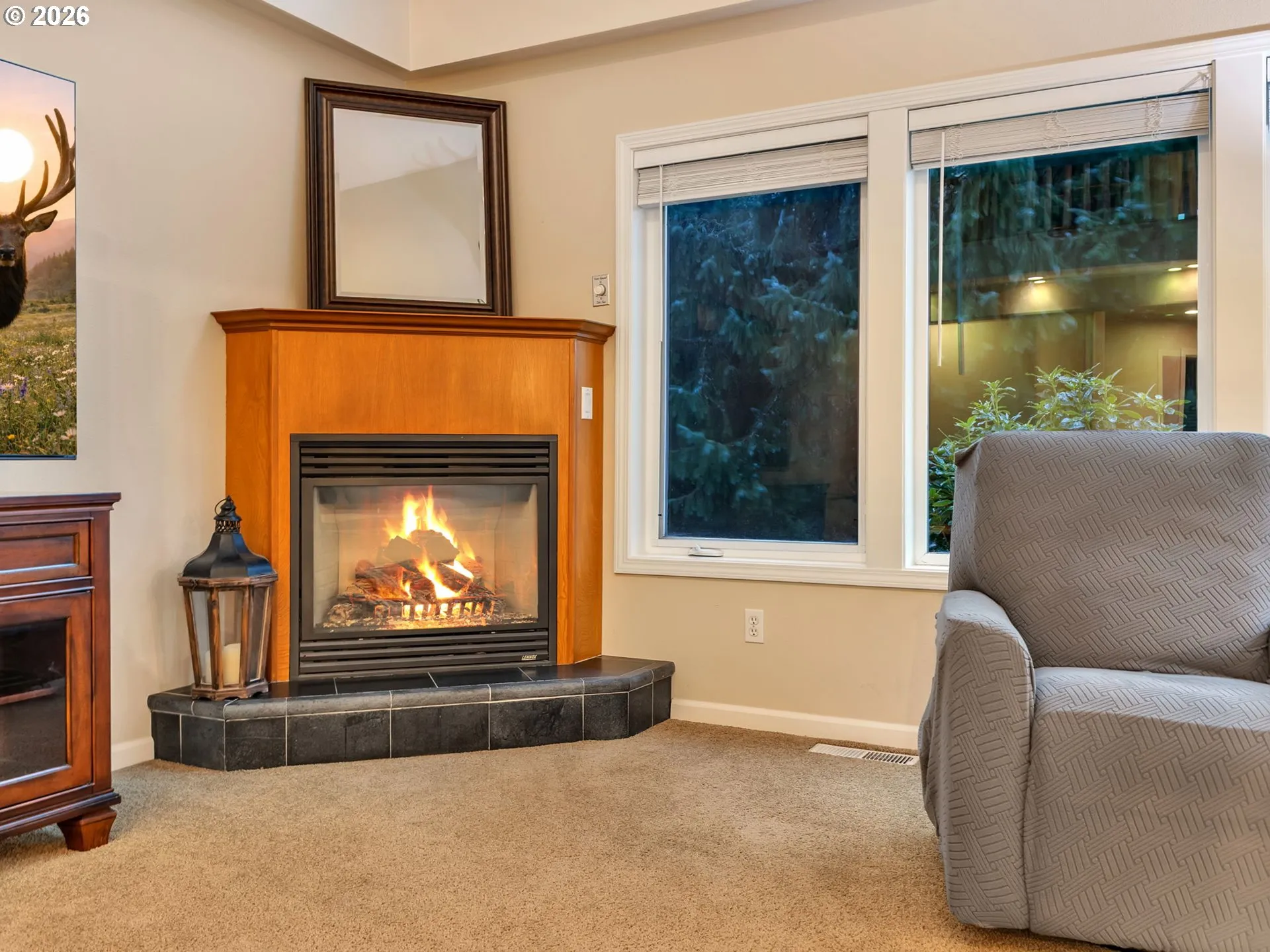 Fireplace Gas