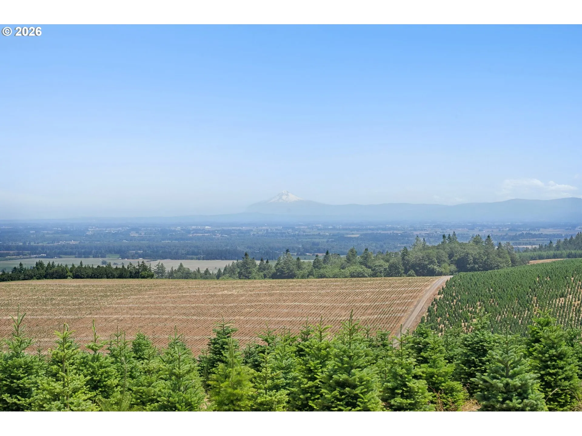 View-Mountain
