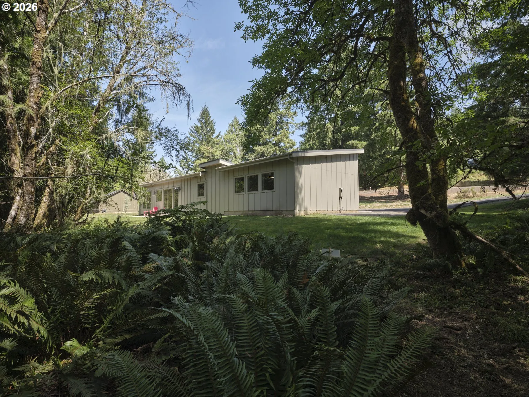 Backyard-View From