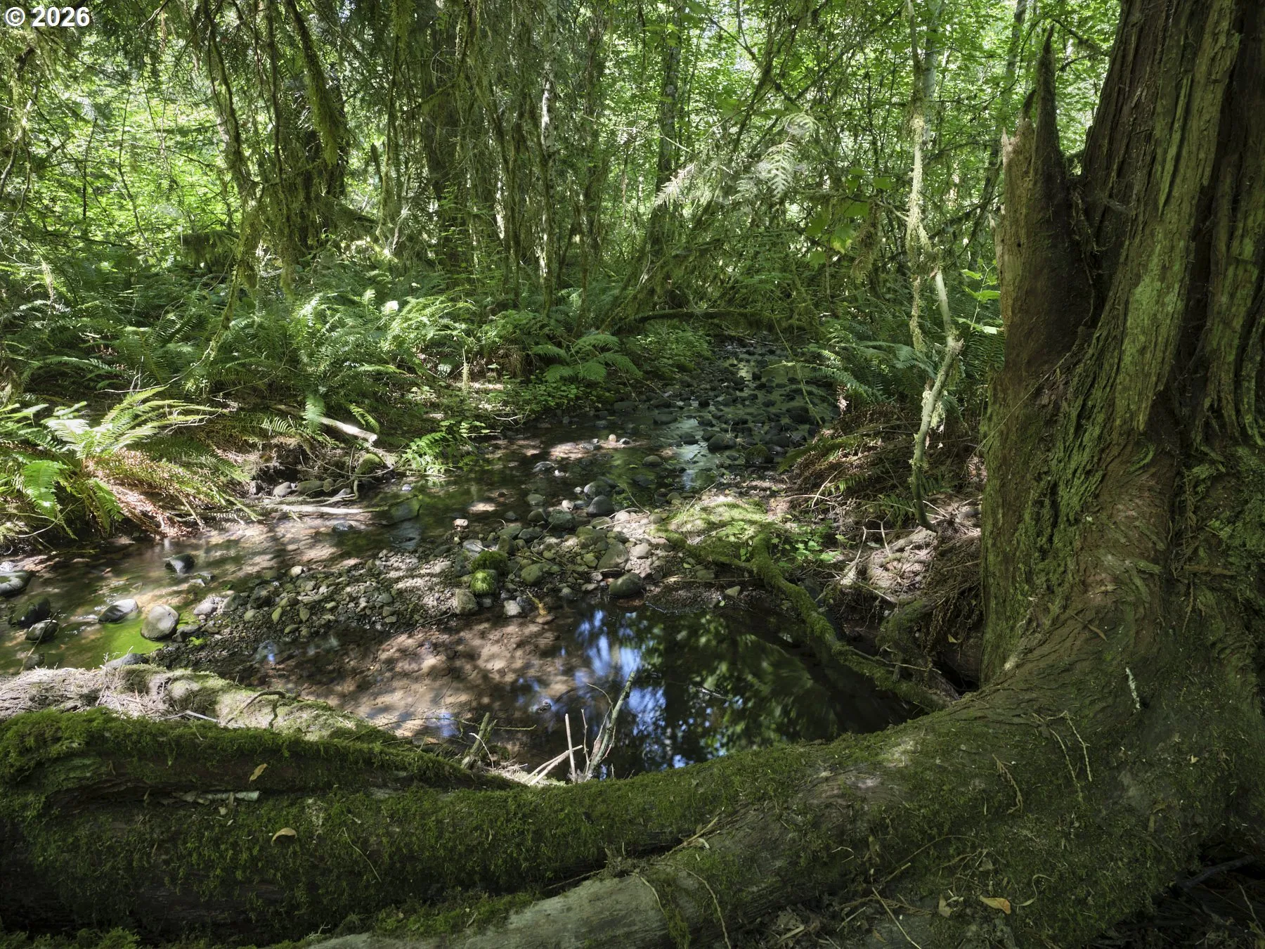 Creek-Year Round