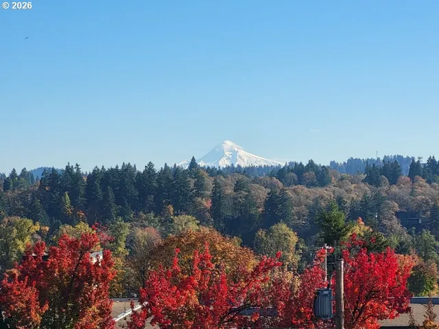 View-Mountain