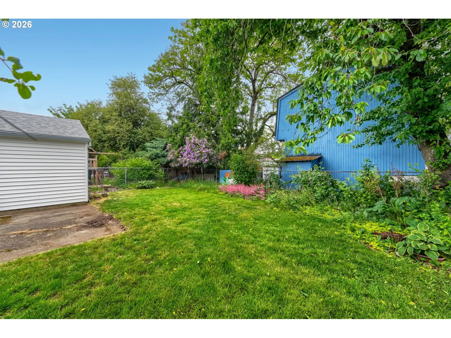 Backyard