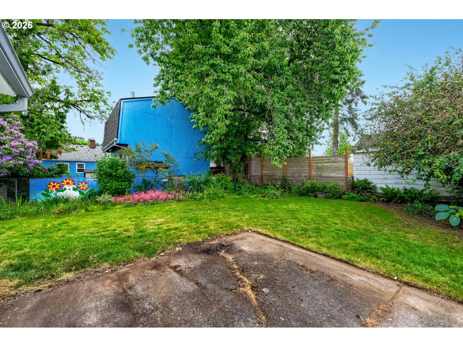 Backyard