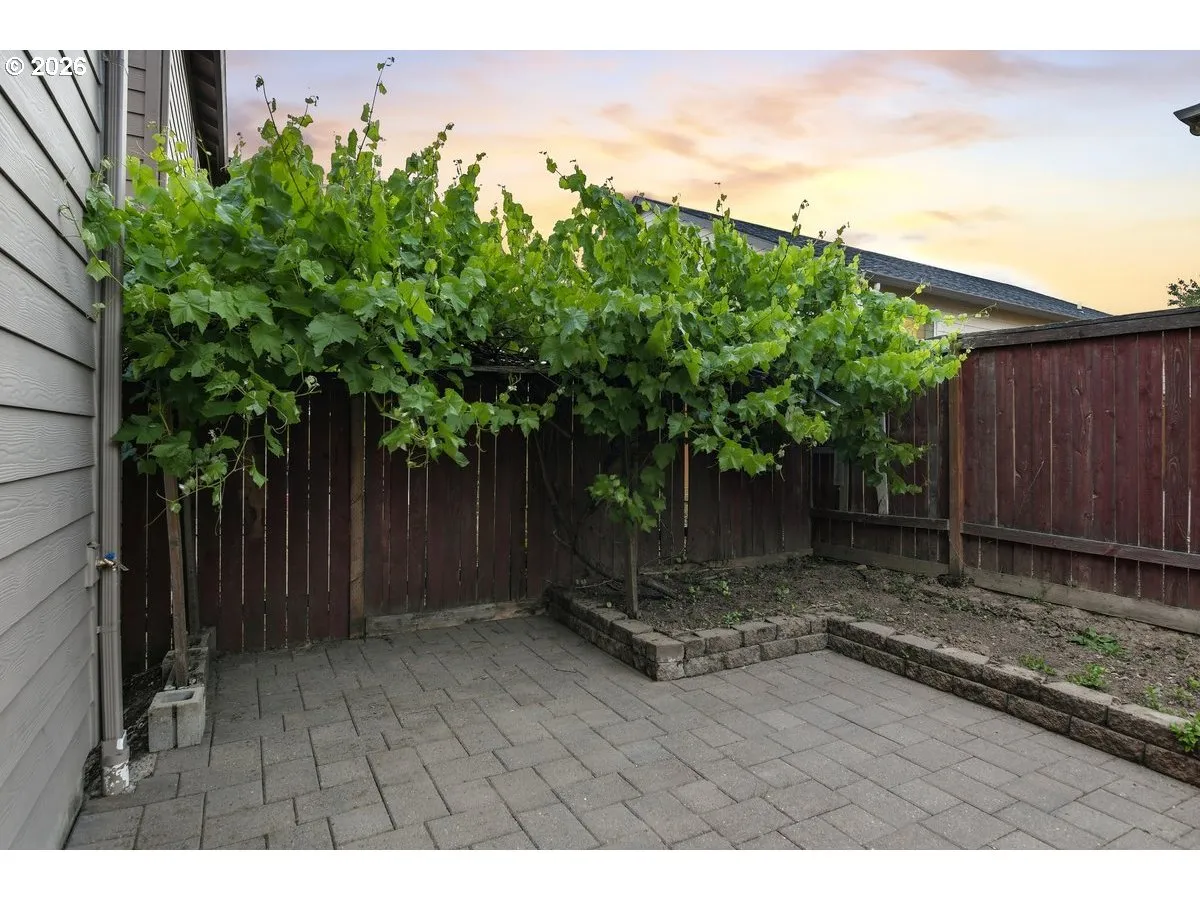 Backyard-Fenced