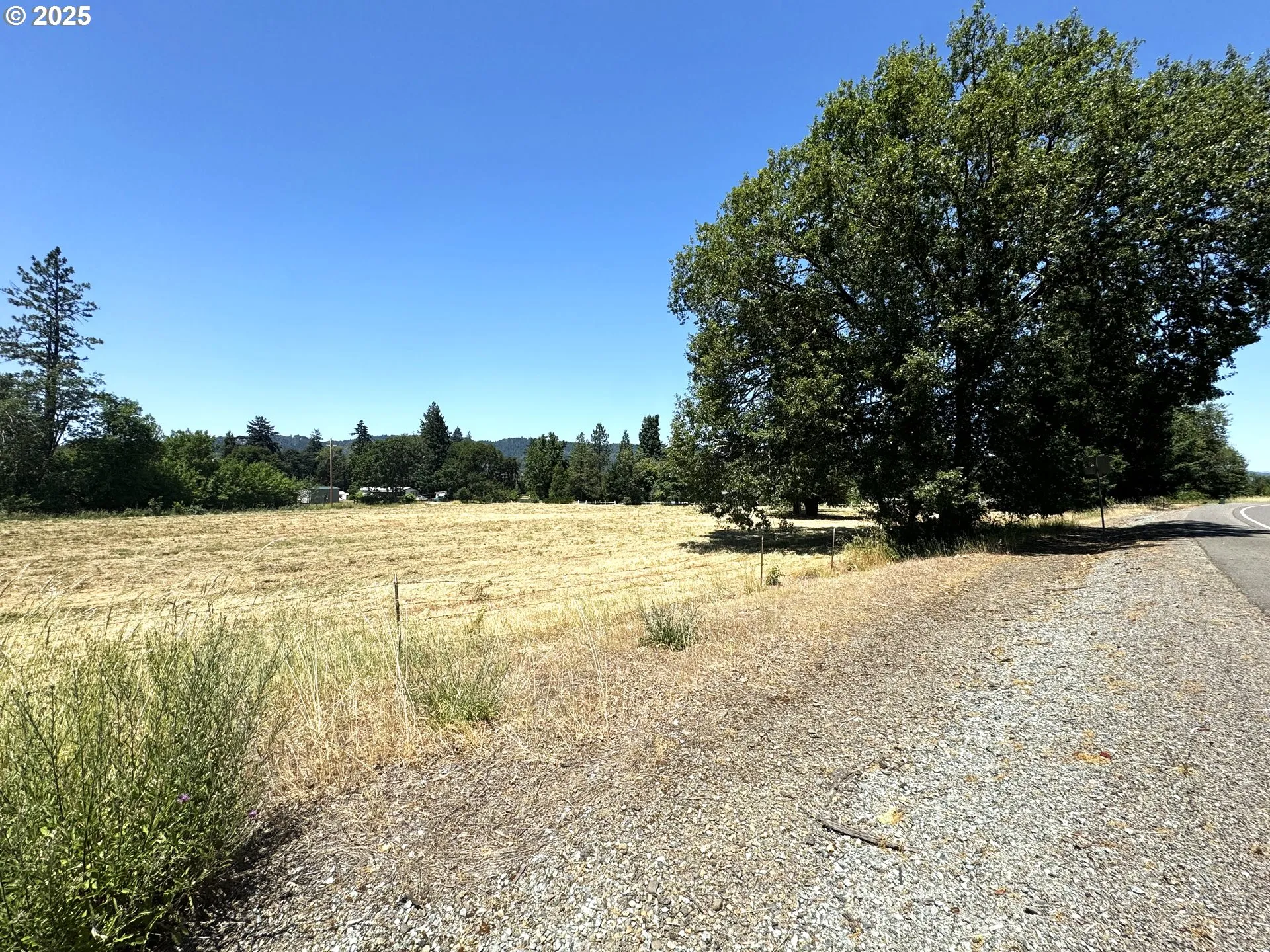 Pasture