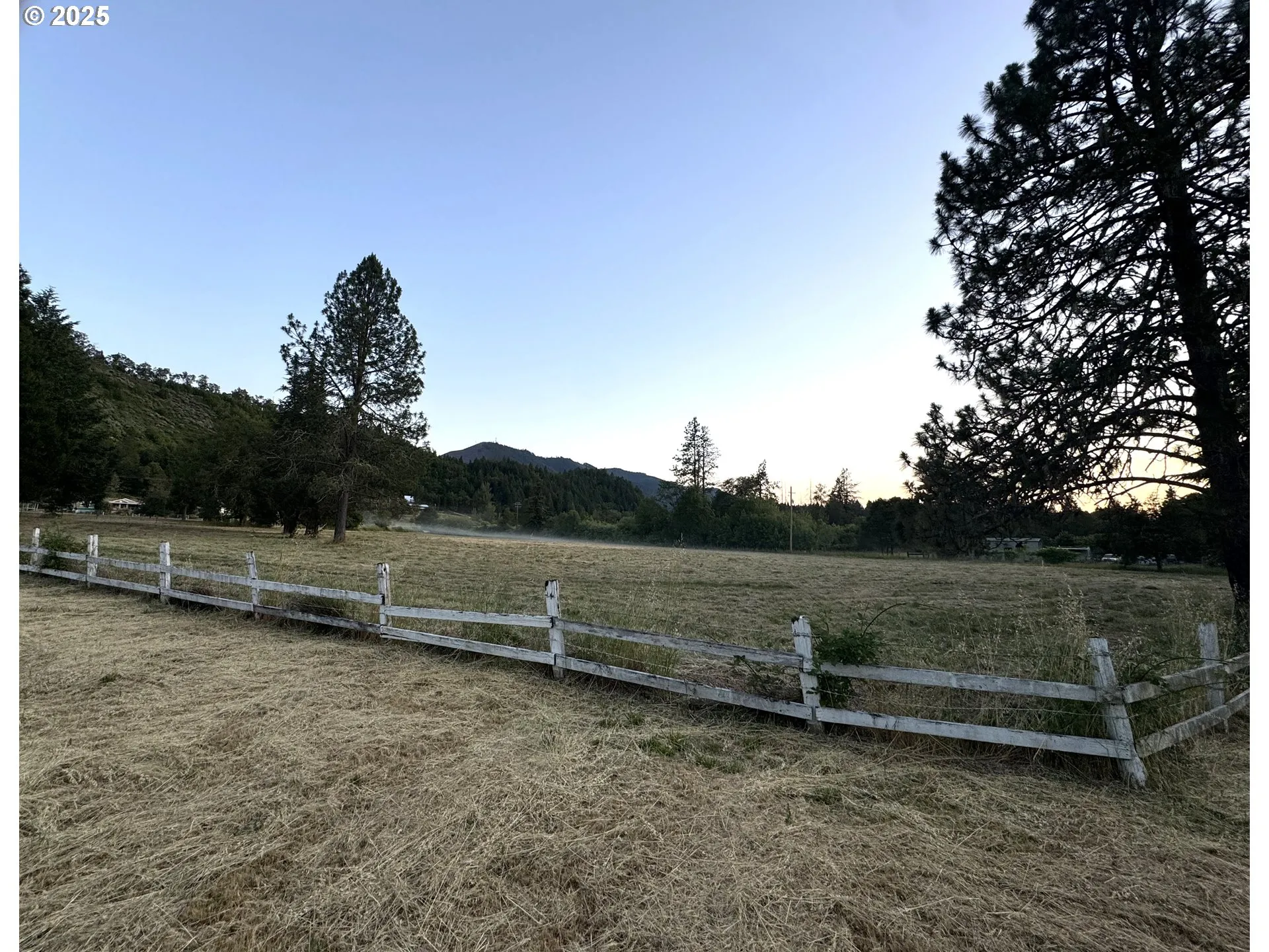 Pasture
