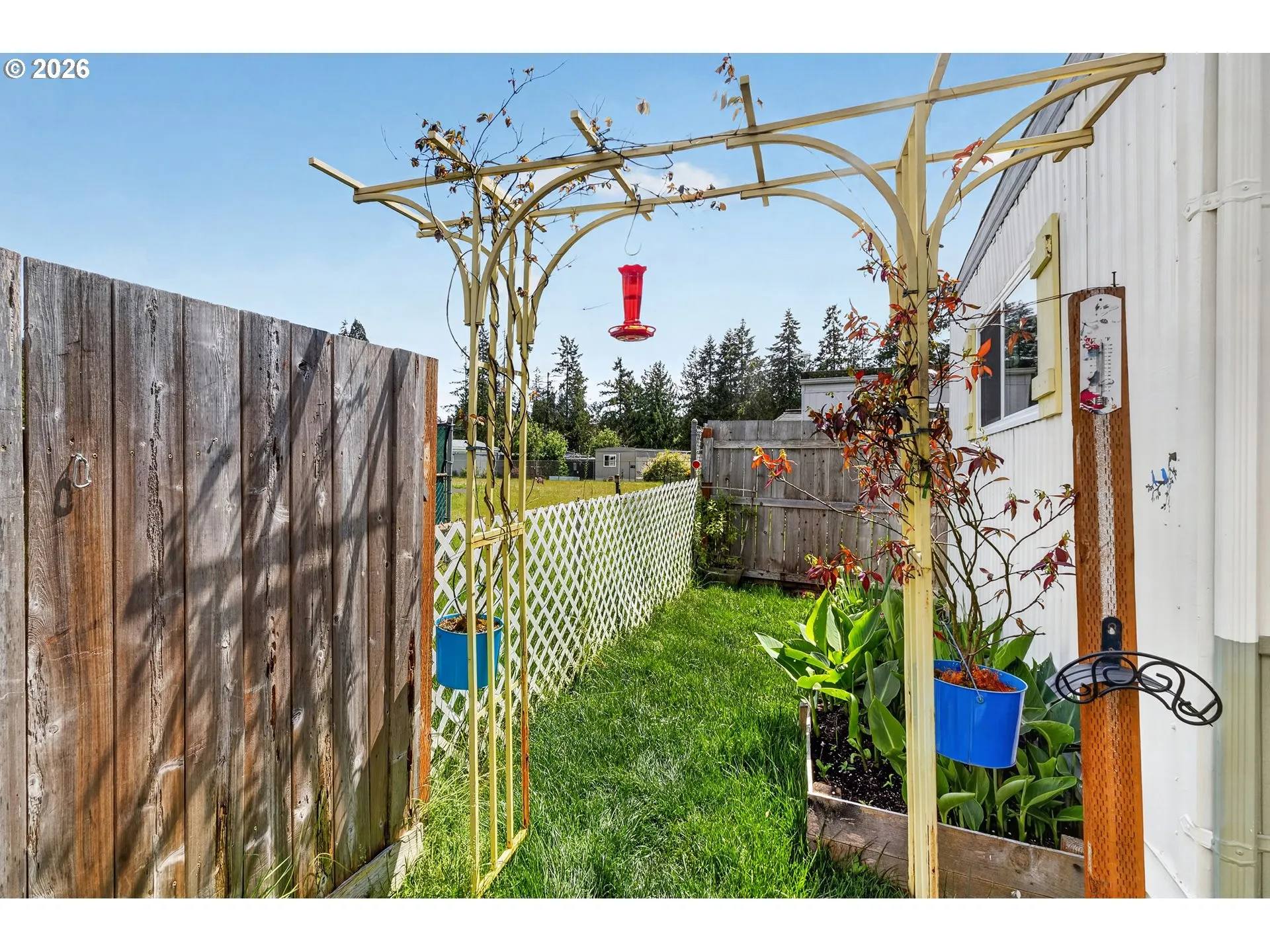 Backyard-Fenced