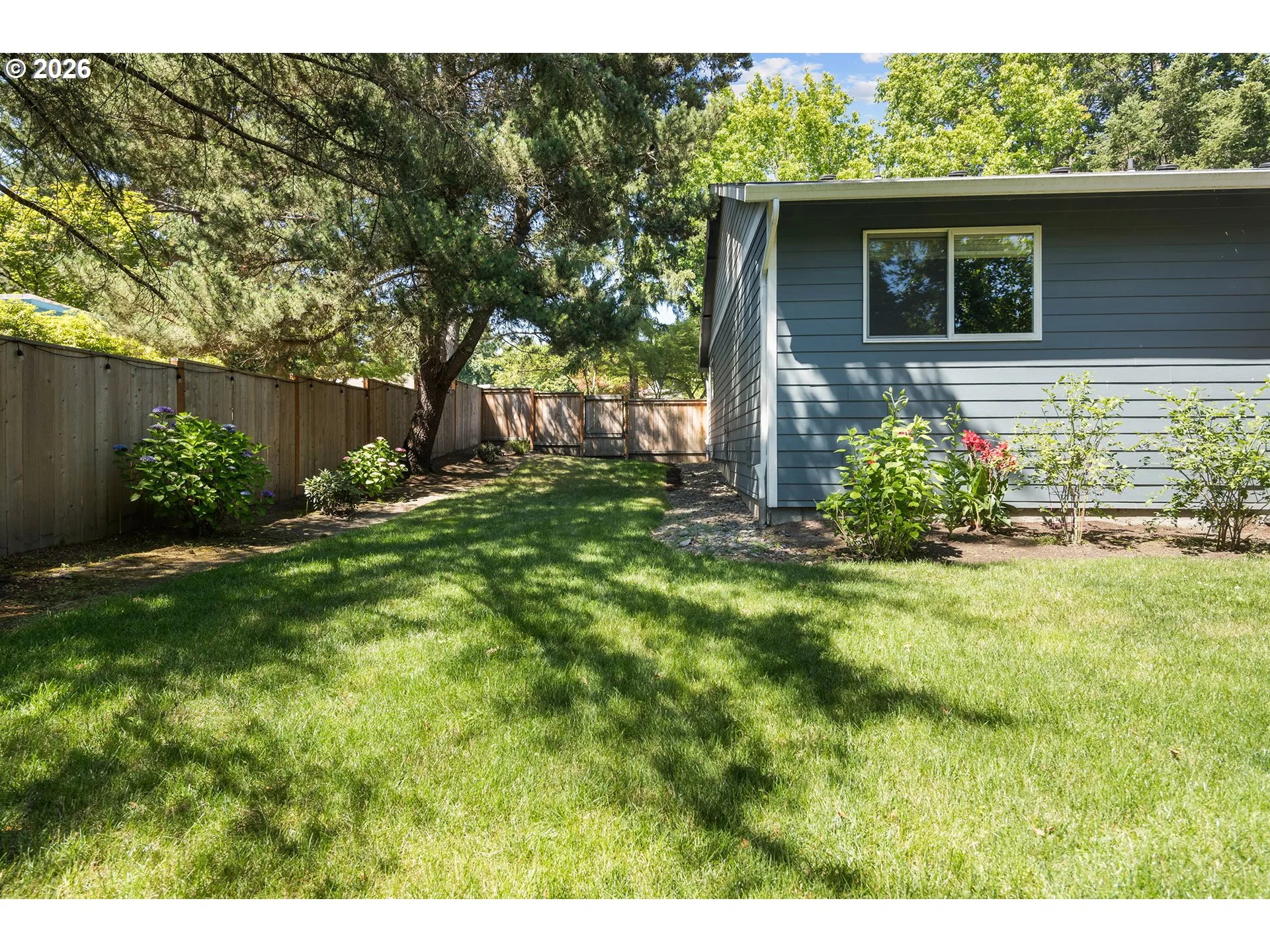 Backyard-Fenced
