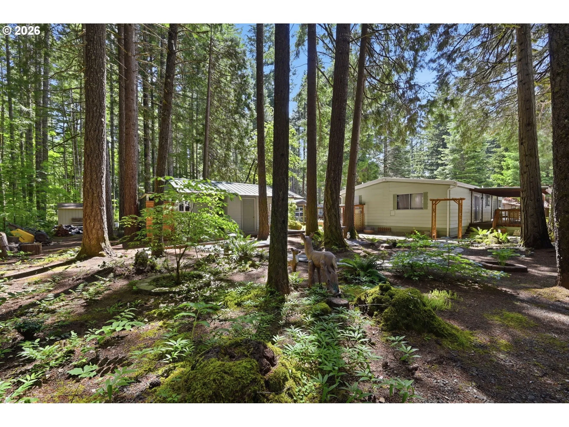 Backyard-View From