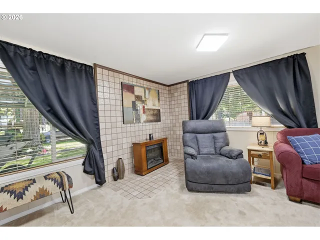 Fireplace Propane