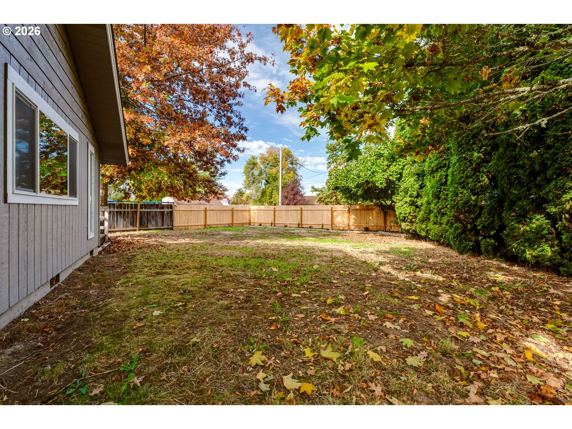 Backyard