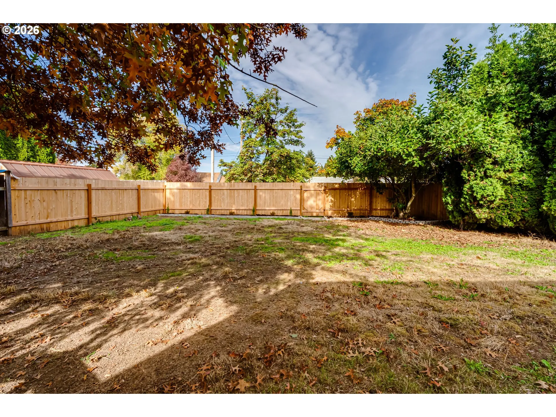 Backyard