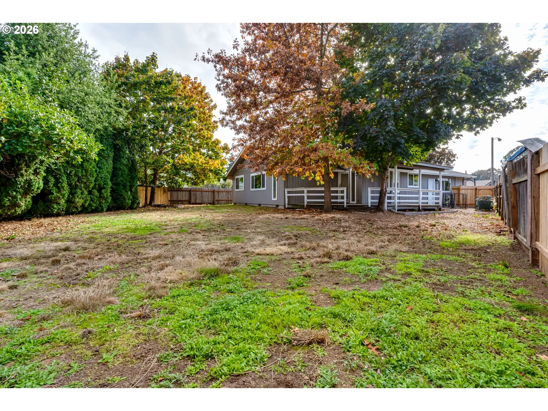 Backyard