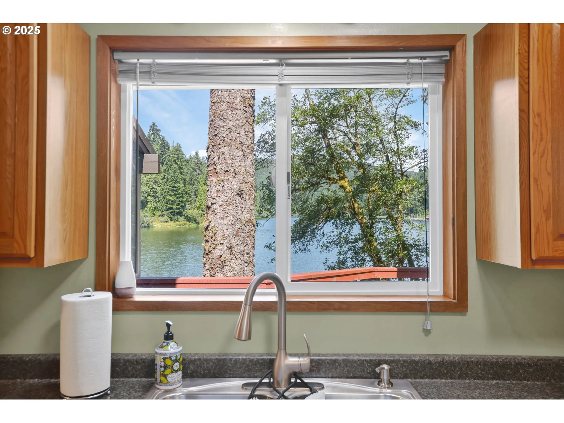Kitchen-View From