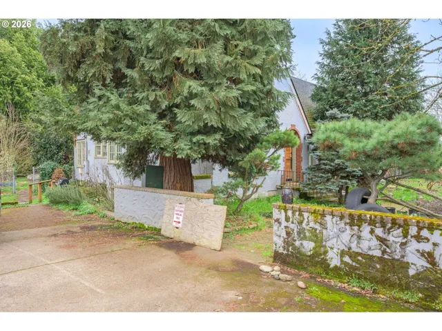 Front Yard