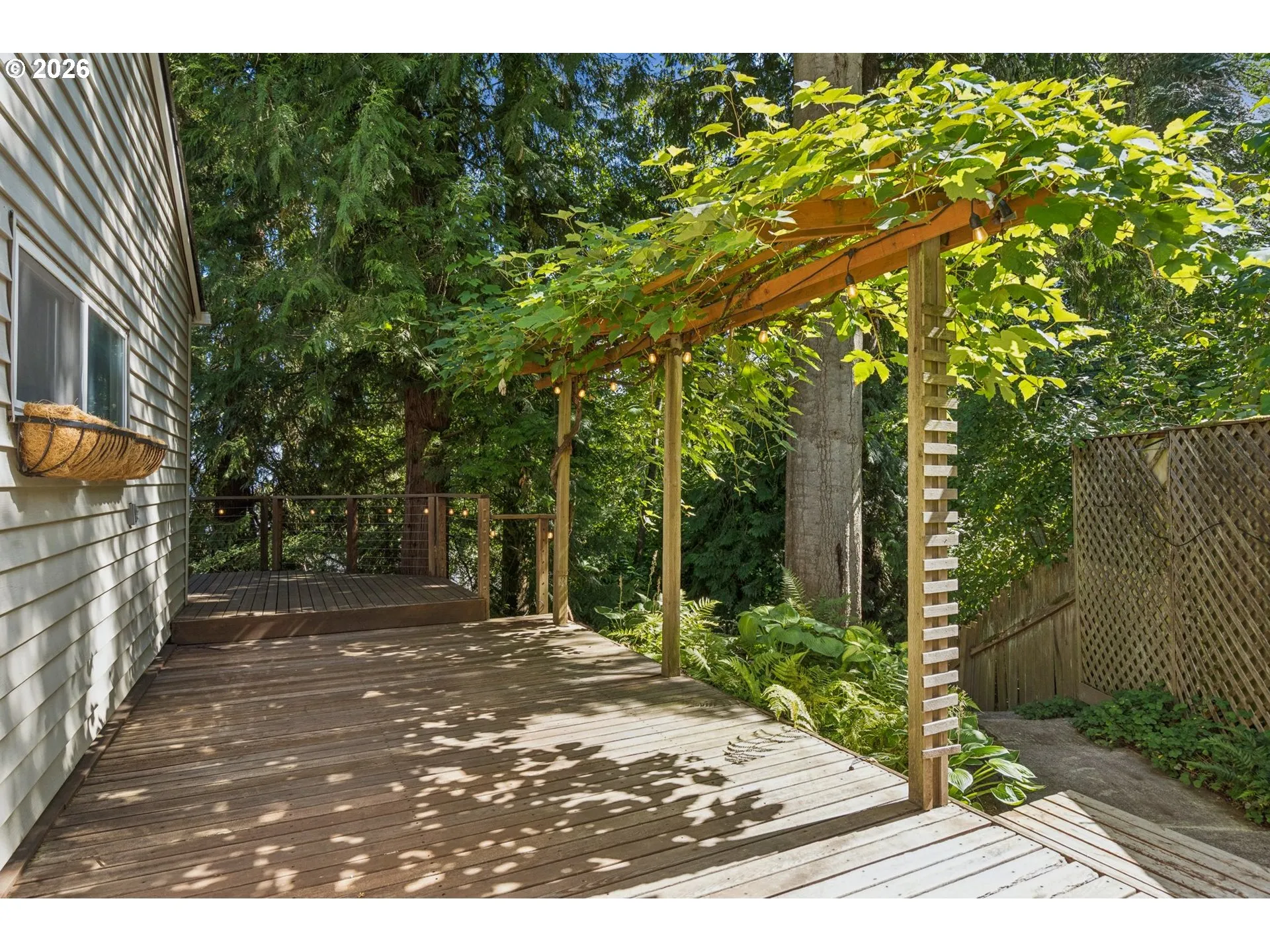 Deck-Main
