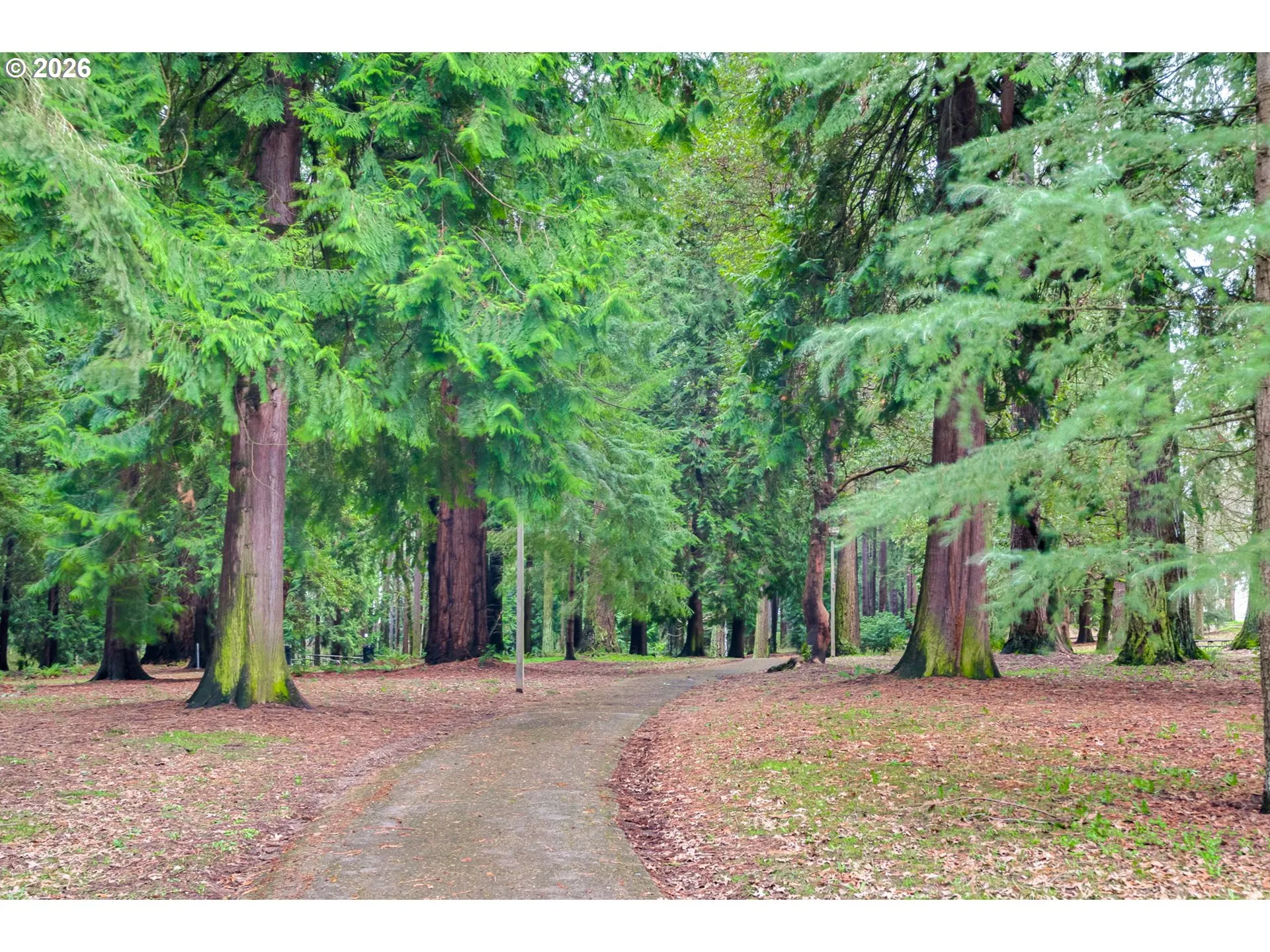 Neighborhood Park