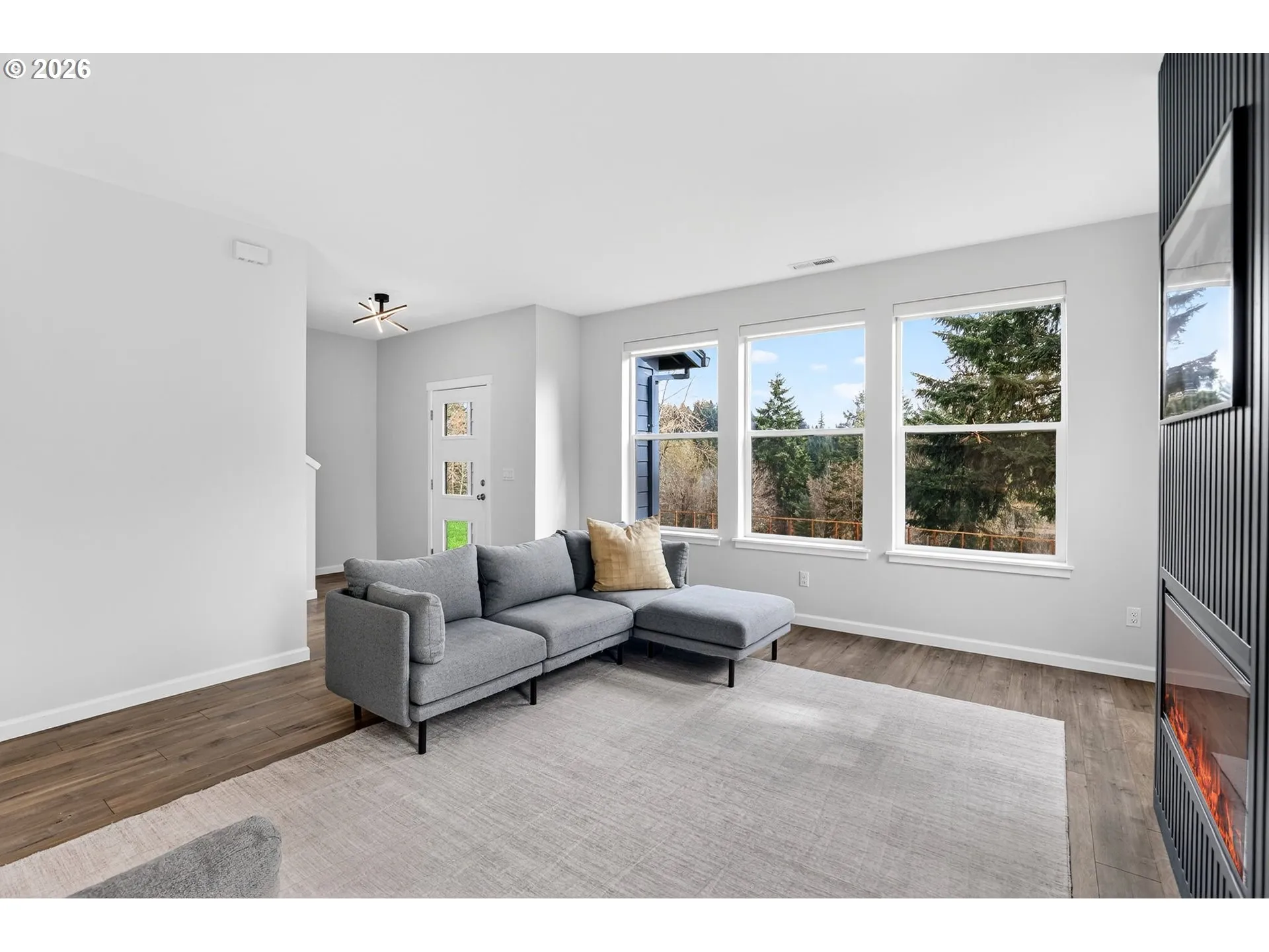 Living Room/Entrance