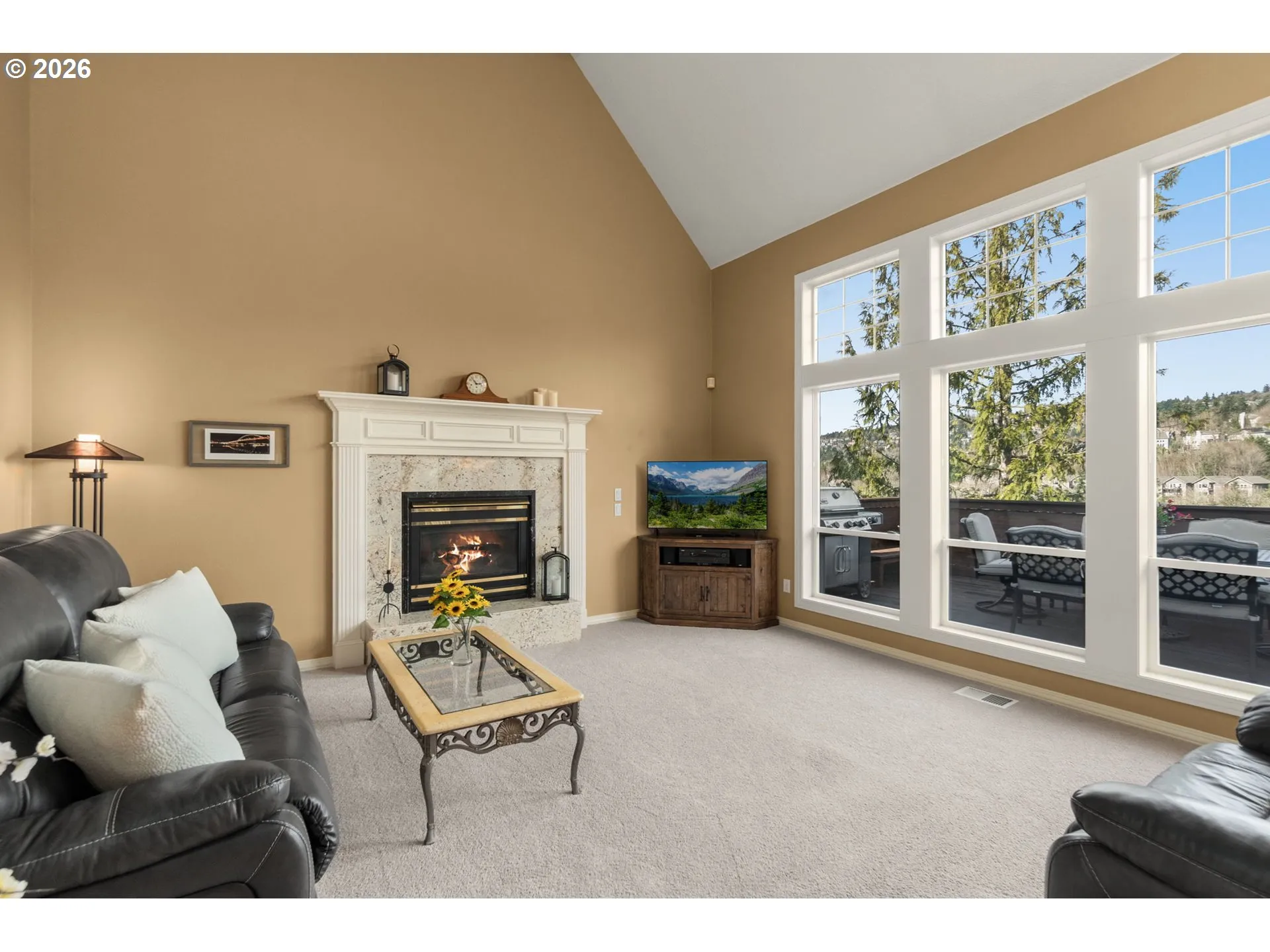Living Room-Vaulted Ceilings