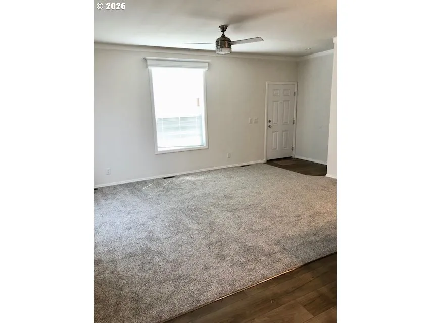 Living Room/Entrance