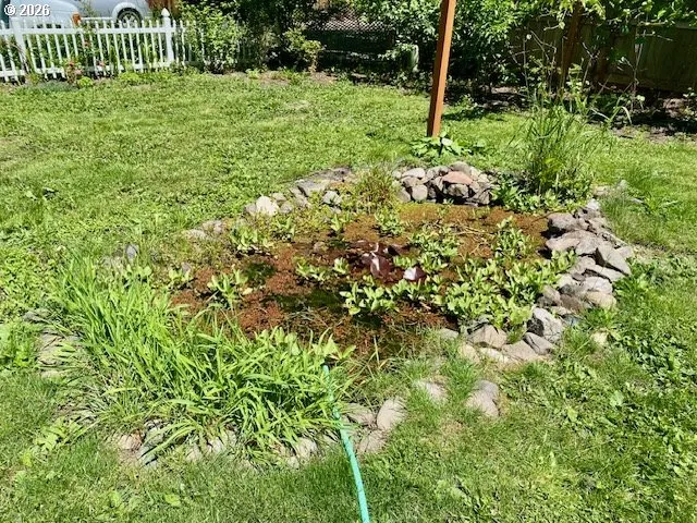 Pond