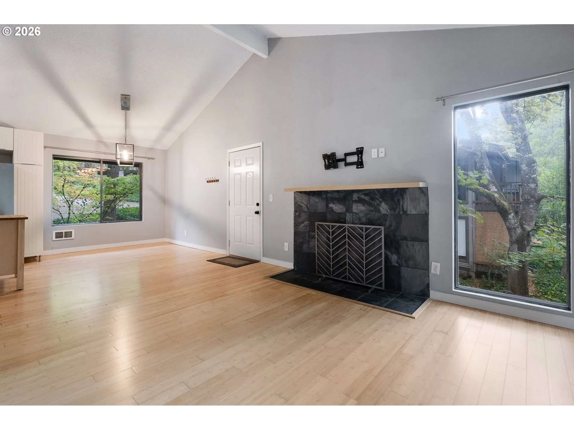 Living Room-Fireplace
