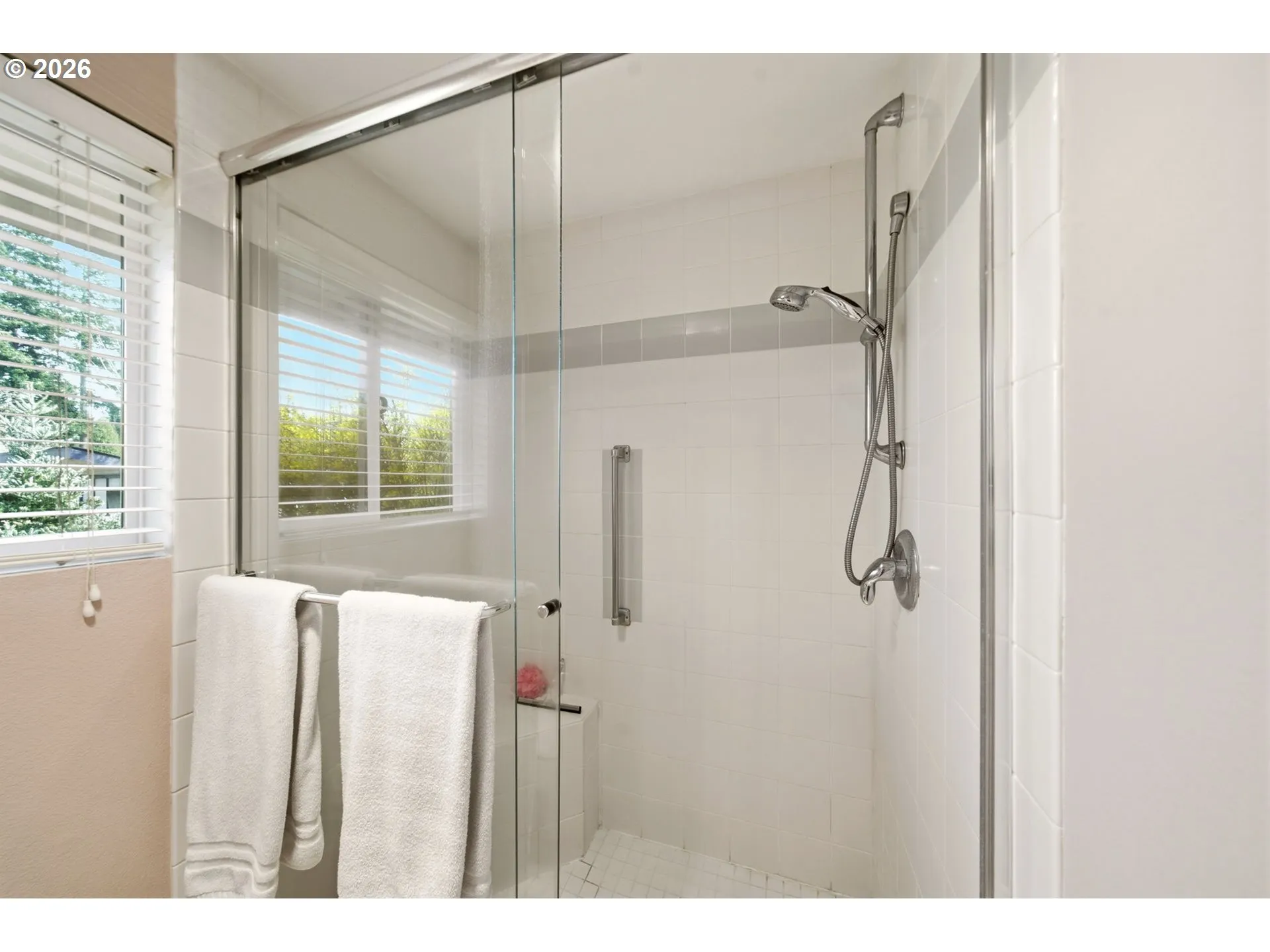 Owner's Suite Bathroom-Walk in Shower