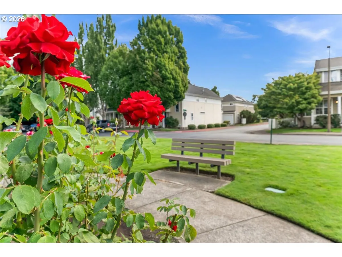 Community Park