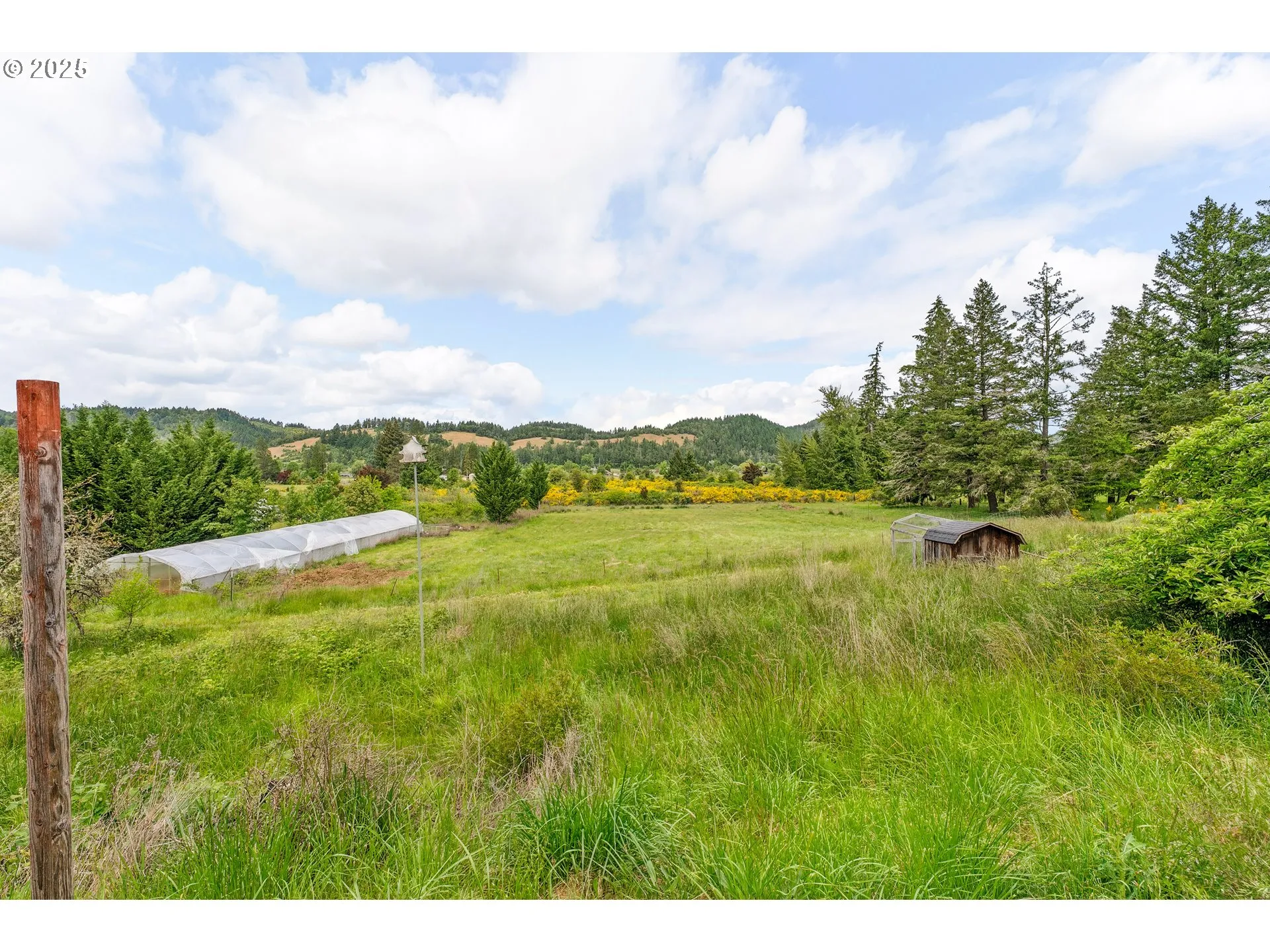 Backyard-View From