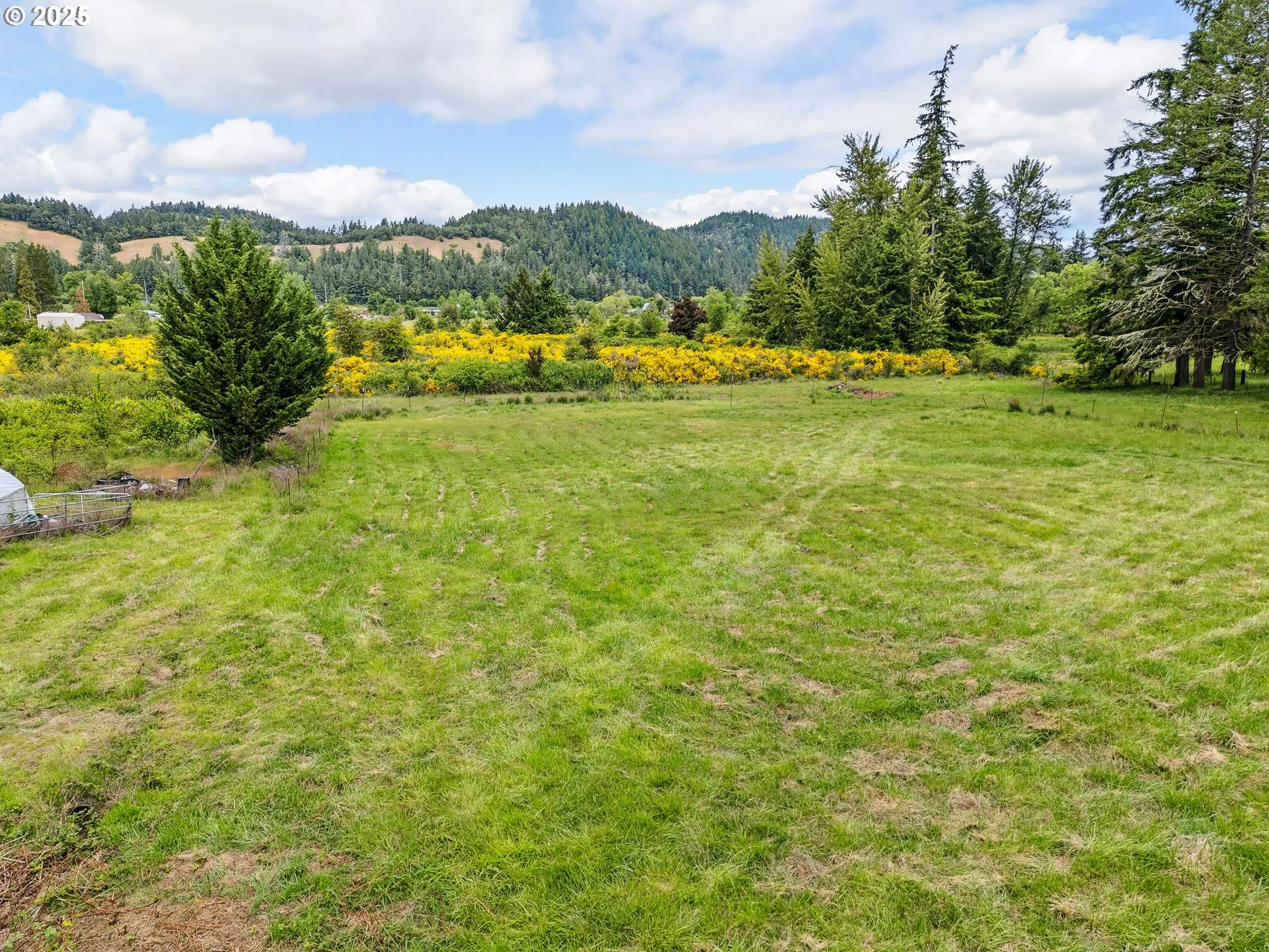 Pasture