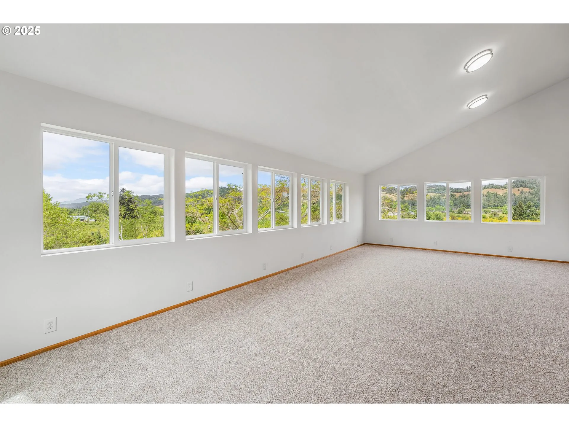 Bonus Room-Vaulted Ceilings