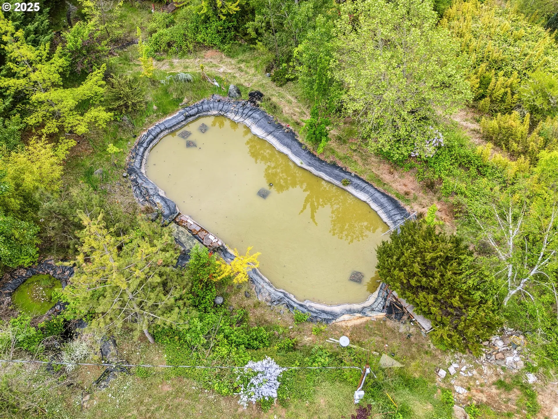 Pond