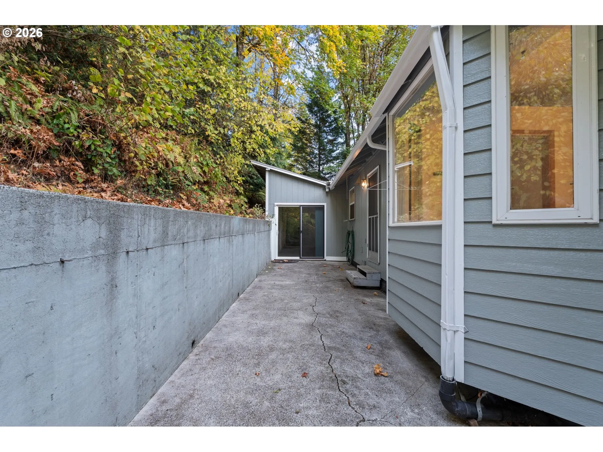 Backyard-View From