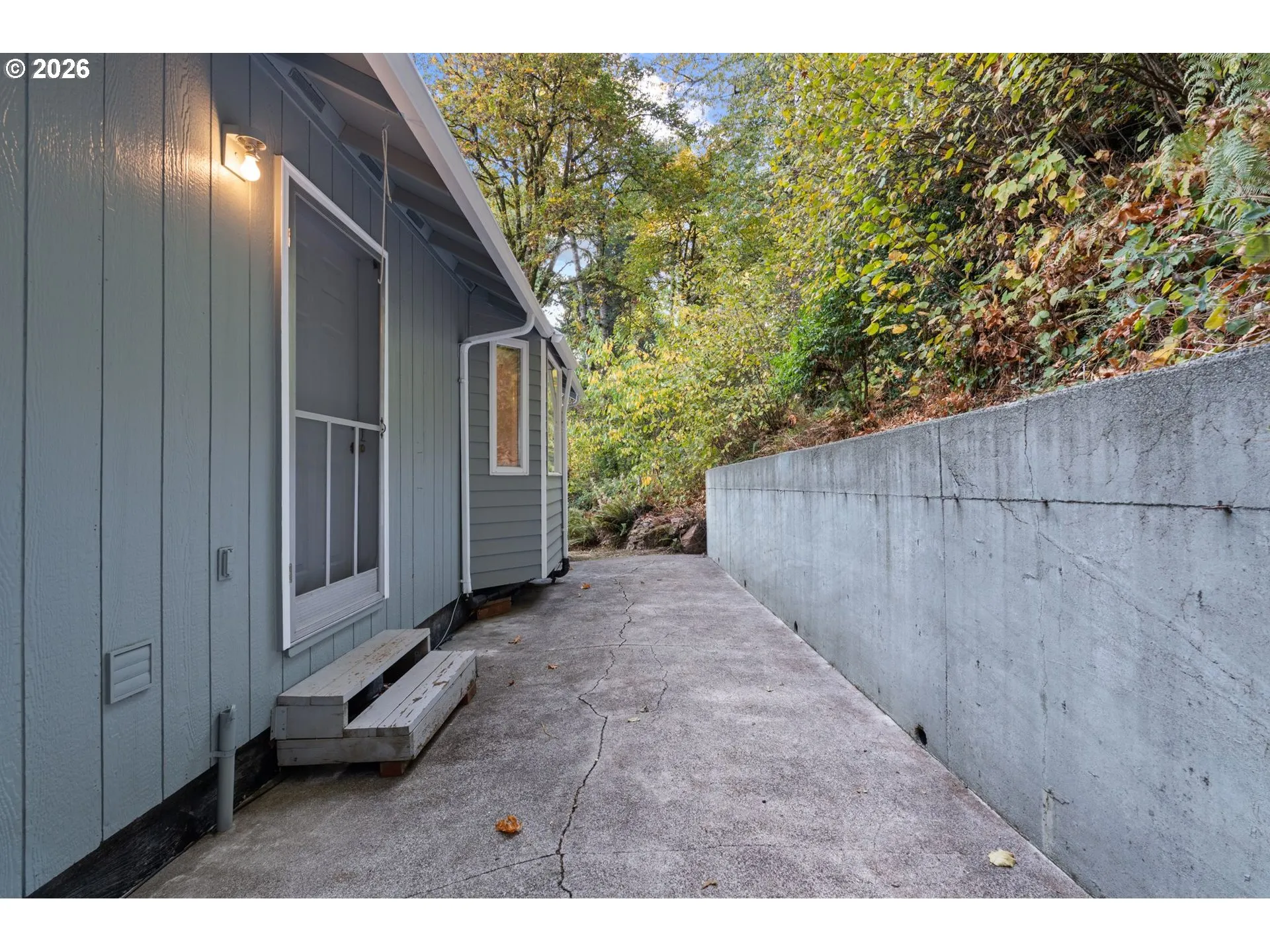 Backyard-View From