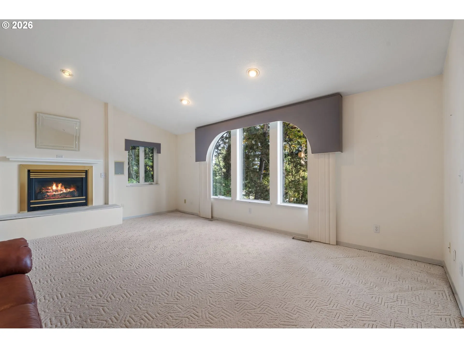 Living Room-Fireplace