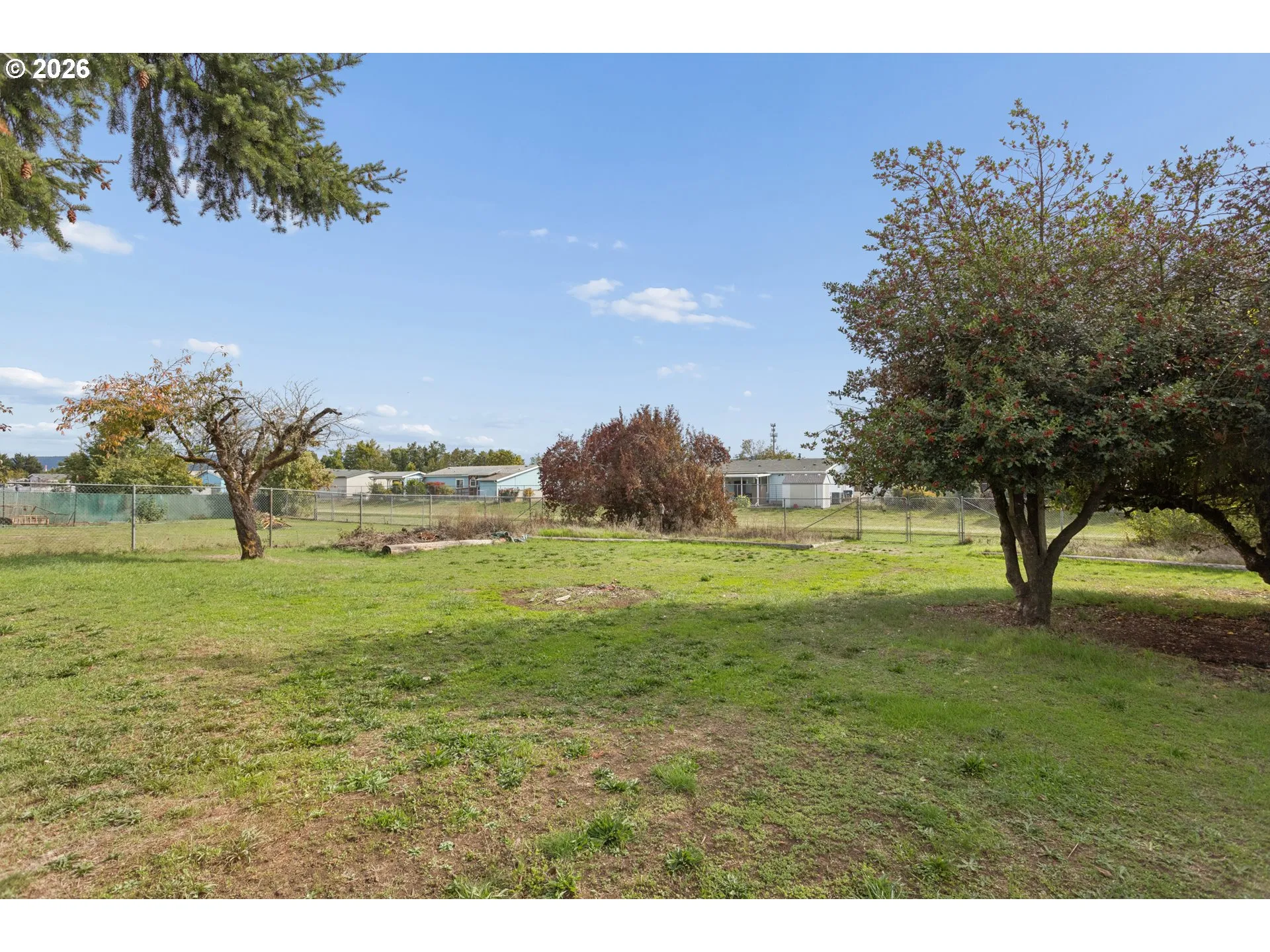 Yard-Trees