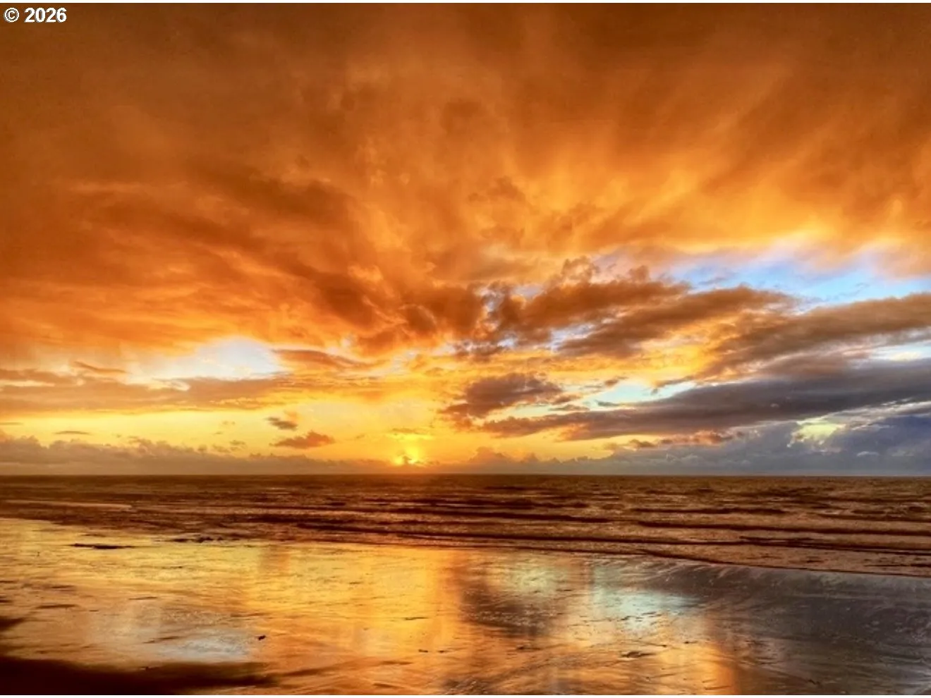 View-Beach/Ocean