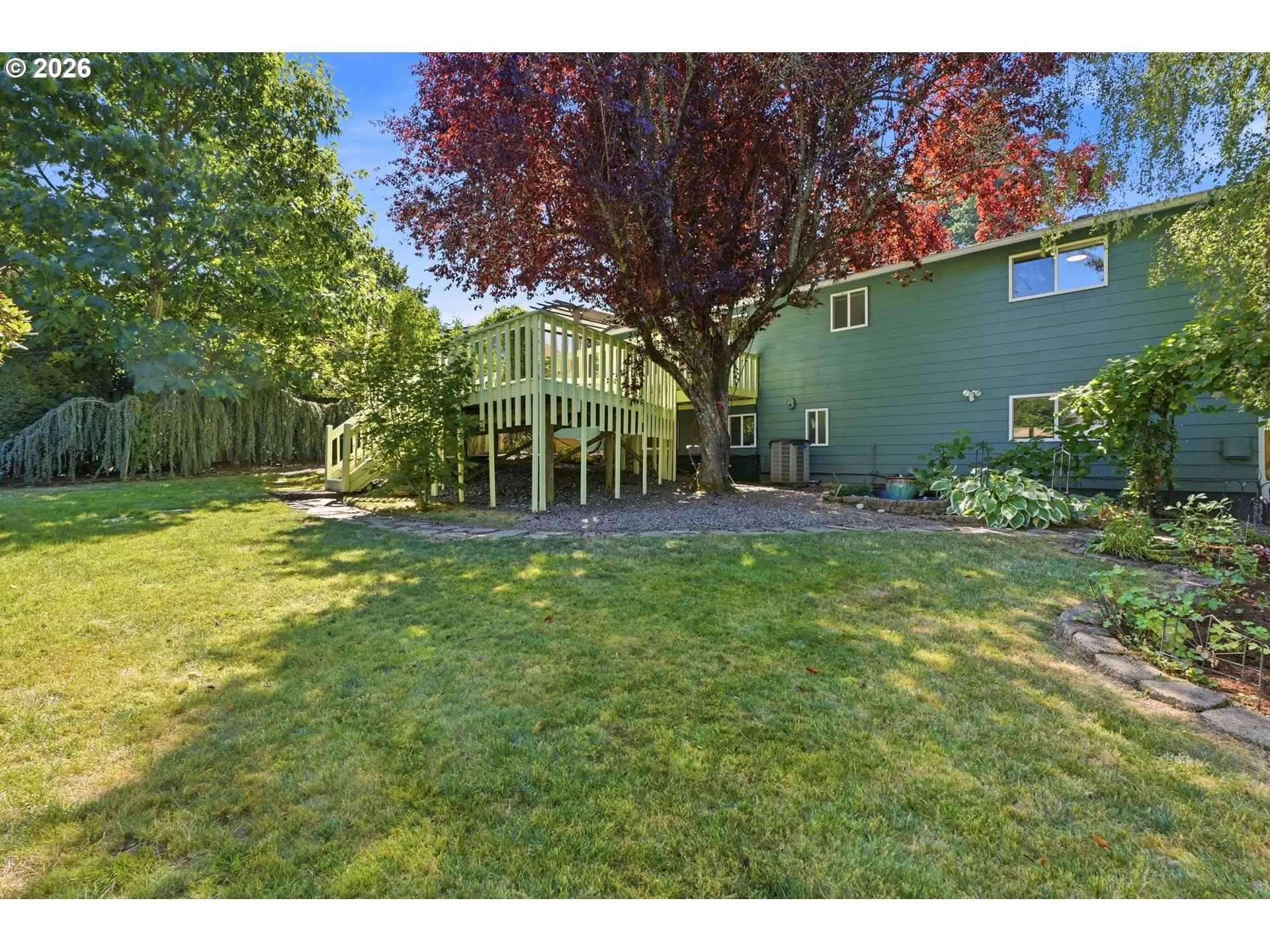 Backyard
