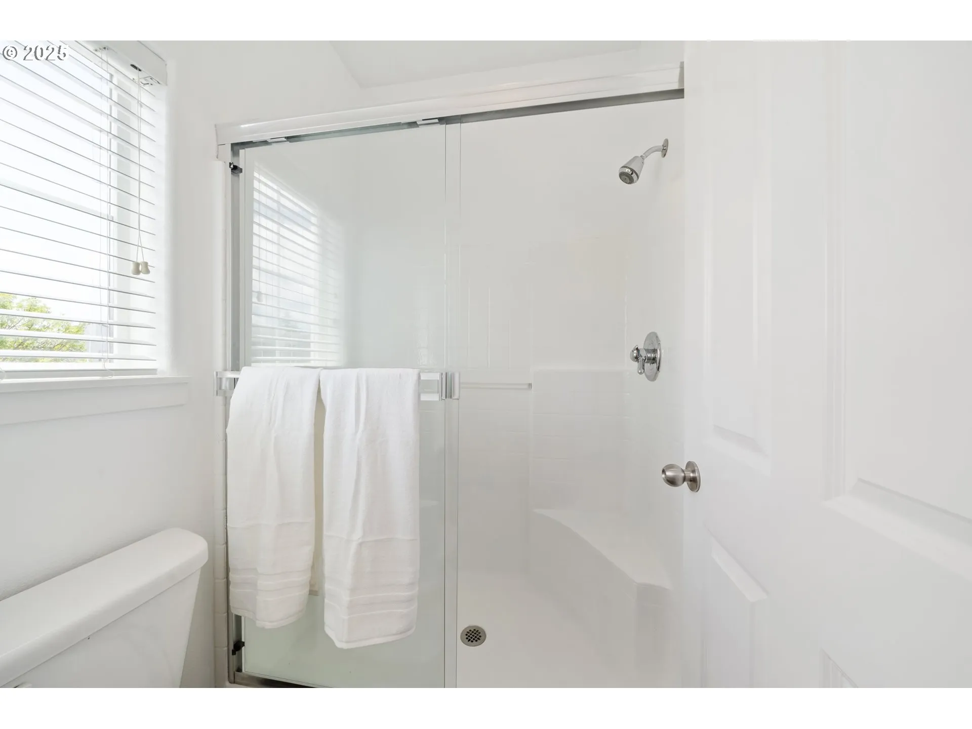 Owner's Suite Bathroom-Walk in Shower