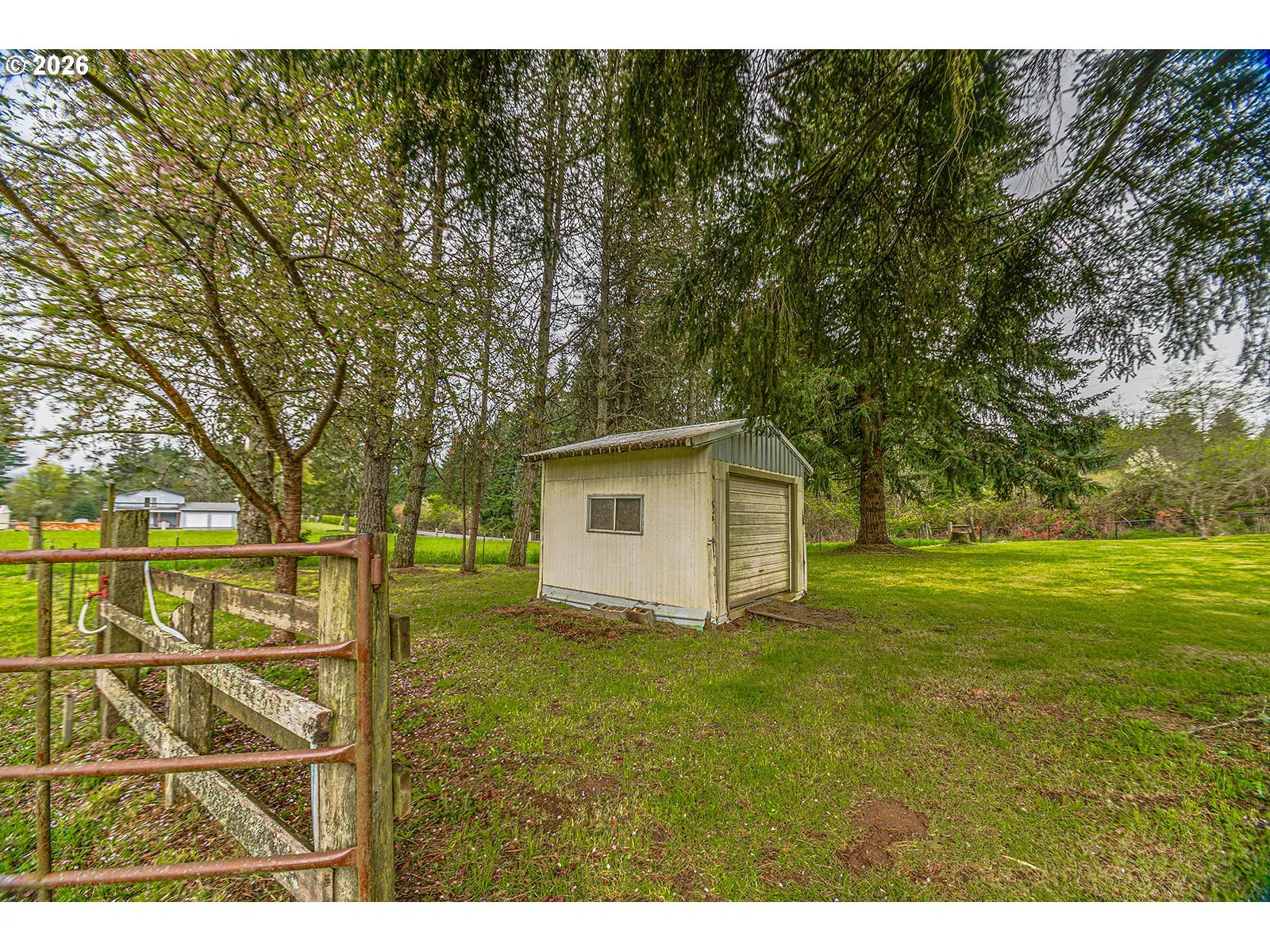 Shed