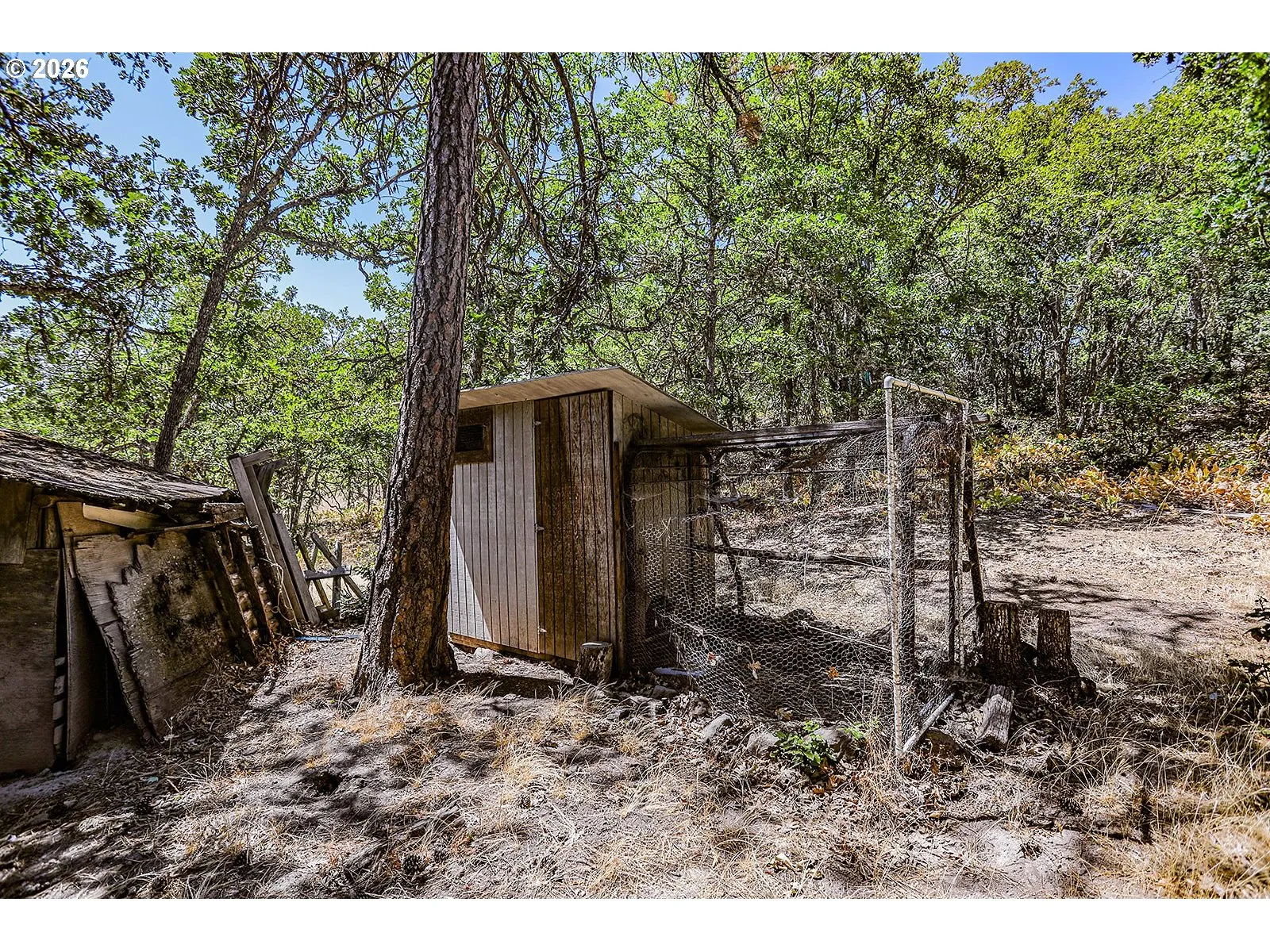 Shed