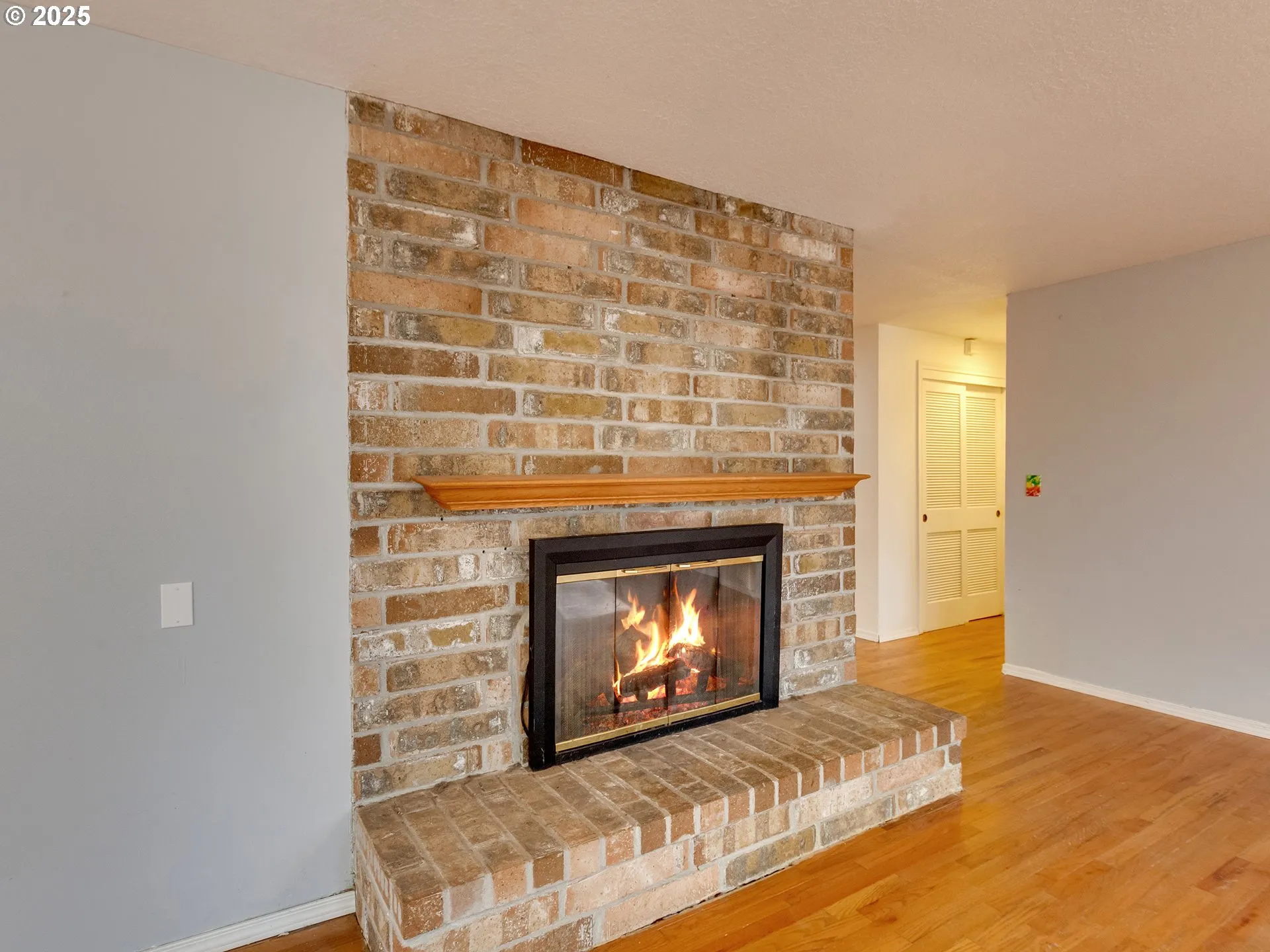 Living Room-Fireplace