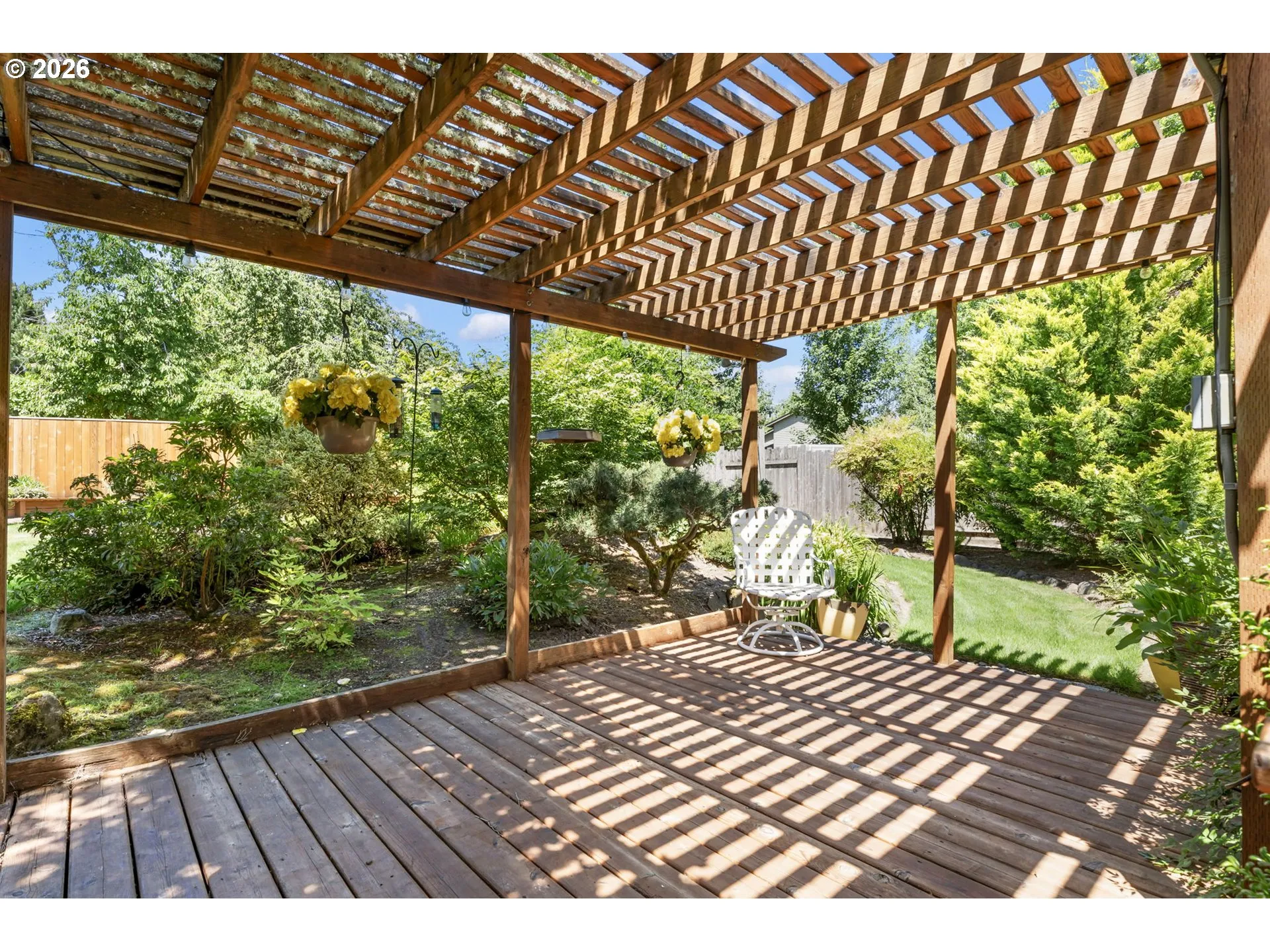 Backyard