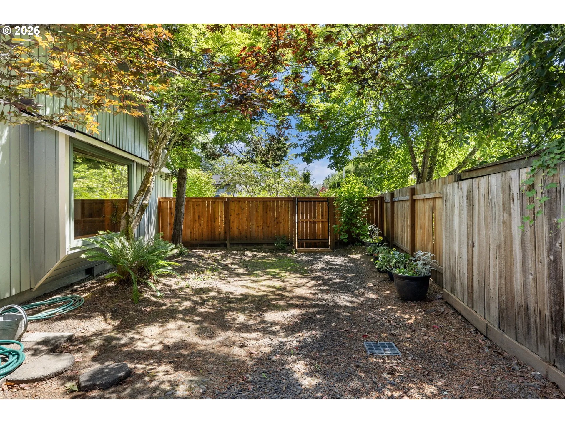 Backyard