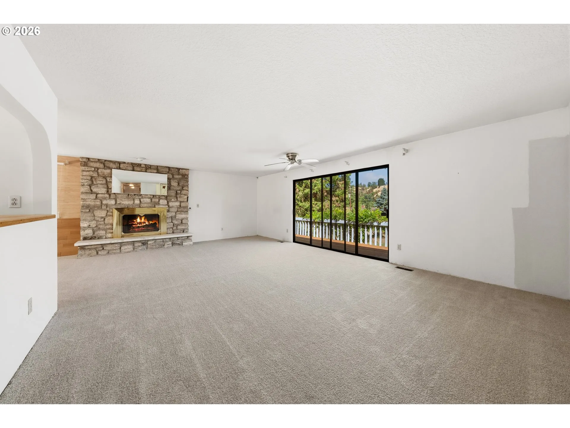 Living Room-Fireplace